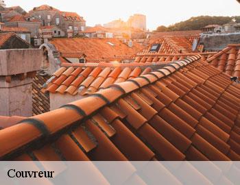 Couvreur HA Hainaut Firme Thitane Toit