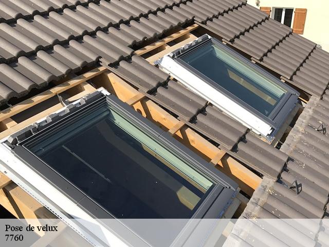 Pose de velux  7760